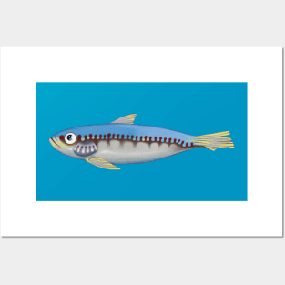 Sardine Posters and Art